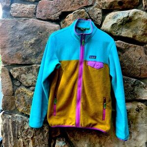 Patagonia Synchilla Fleece Jacket